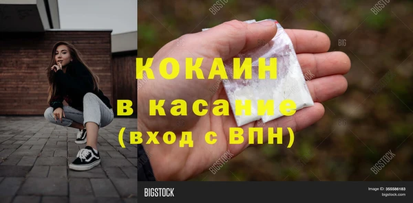индика Алексин