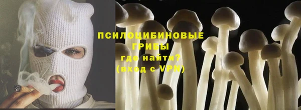 прущие грибы Алексеевка