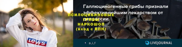 индика Алексин