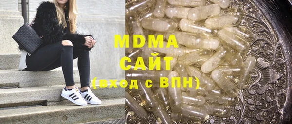 индика Алексин
