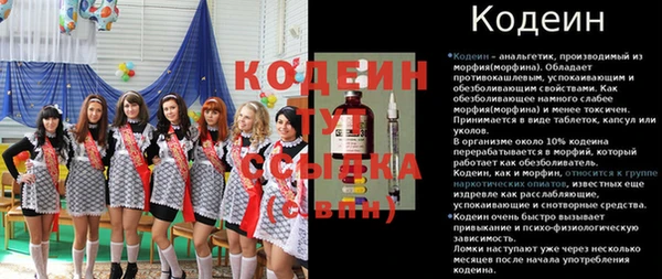 прущие грибы Алексеевка