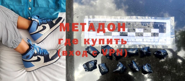 индика Алексин