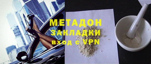 индика Алексин
