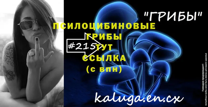 как найти закладки  Октябрьский  Галлюциногенные грибы Psilocybe 